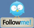 Seguimi su Twitter
